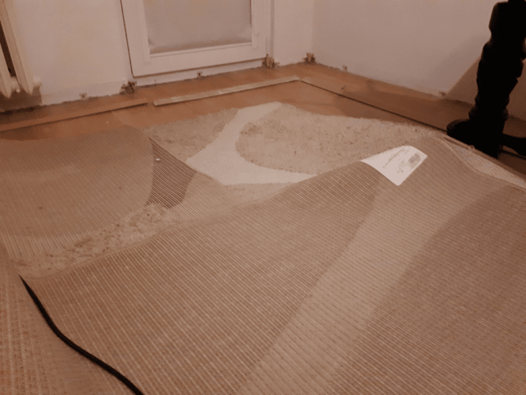 Zdjęcie dywanów do zwalczania pluskwy domowej STANDER Ełk